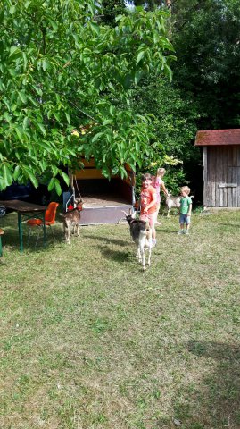 Sommer 2016 (7)